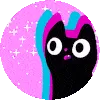 discocat discocat