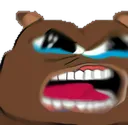 BearRage