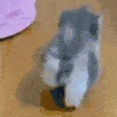 imleaving