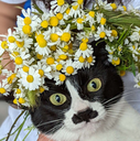 grt_1st_May Discord emoji