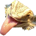 TongueOut