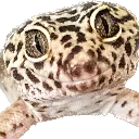 LeoSmile