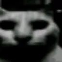 GATO