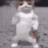 catPls catPls