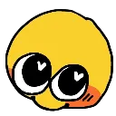 vin_helo