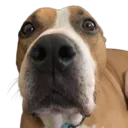 RajaW RajaW
