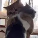 hug
