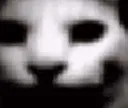 PoopyDoom