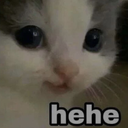 hehe hehe