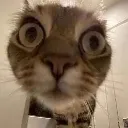 eyes2