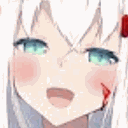 DE_Fubuki_Yan Discord Emoji