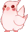 BirbRave
