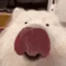 LICKA