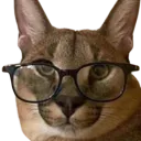 nerd