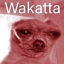 wakatta