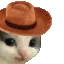 MMEOWDY