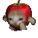 applerun