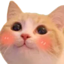 2CatBlush