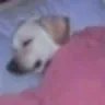 Zzzzz