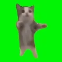 Dancingcat DancingCat Discord Emoji