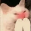 Blushcat