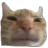 BC_sadcat