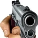 Gun