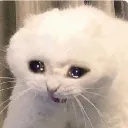 cry2