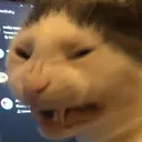 catpain catpain