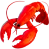 lobster