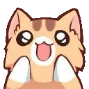 MB_kitty_woahhh