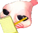 susnotesbob