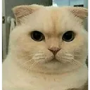 emoji_34 emoji_34