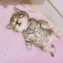 doid doid