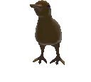 AnimatedDuck01