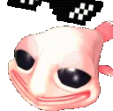 toocoolforbob