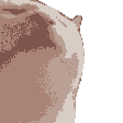 catdance Discord Emoji