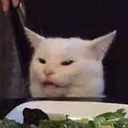 Confused Cat confused_cat Discord Emoji