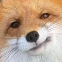 foxuhm foxuhm