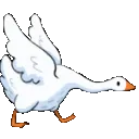 goosechase goosechase