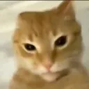 sideeye