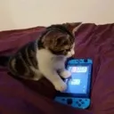 nintendomomento