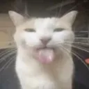 blehhhh