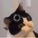 i_cat_loading i_cat_loading