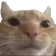 neutralcat