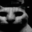 spoopycat