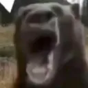 UnBEARable