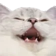 veebunKek veebunKek