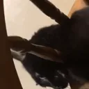 charliespazz