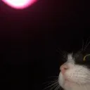 emoji_50